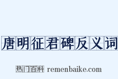 唐明征君碑反义词是什么意思的图片